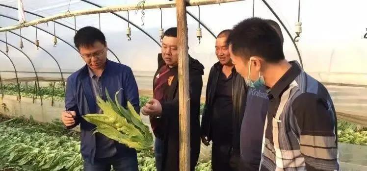 ������ʱ��(�й���)�������ǲ�!