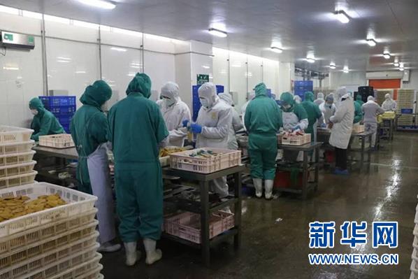 ������ʱ��(�й���)�������ǲ�!