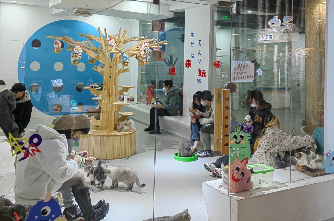 ������ʱ��(�й���)�������ǲ�!