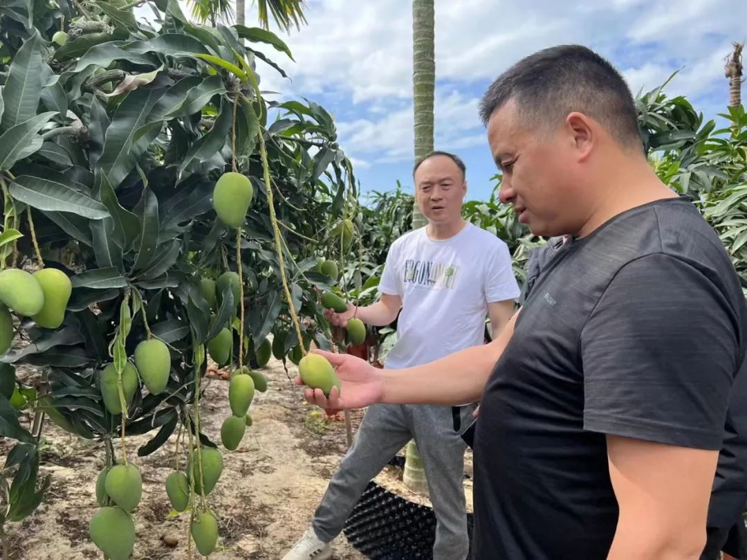 ������ʱ��(�й���)�������ǲ�!