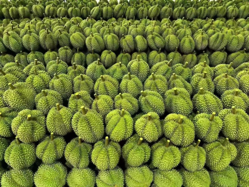 ������ʱ��(�й���)�������ǲ�!