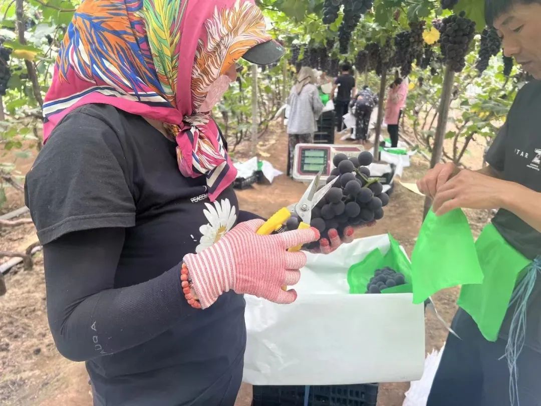 ������ʱ��(�й���)�������ǲ�!