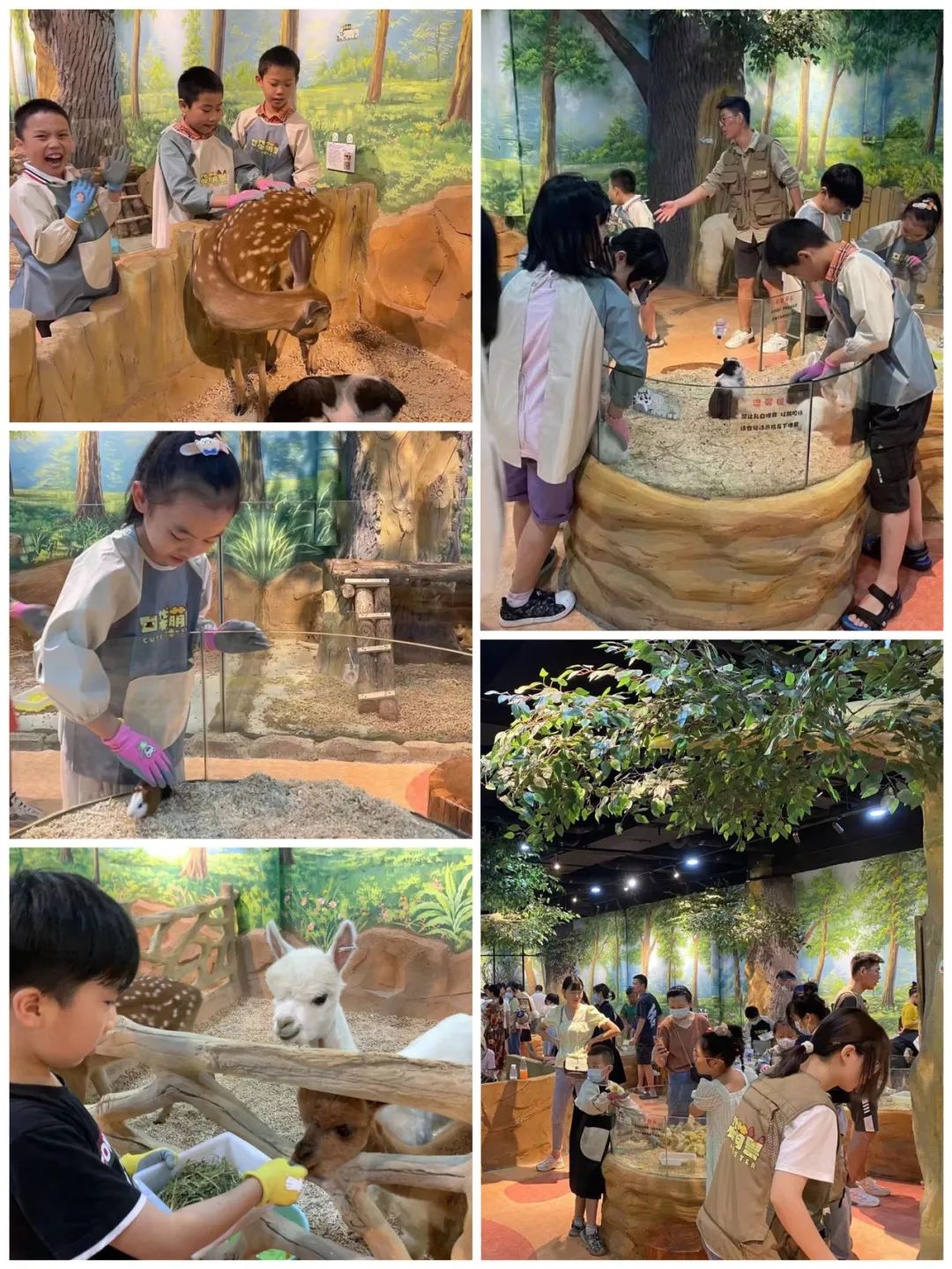 ������ʱ��(�й���)�������ǲ�!