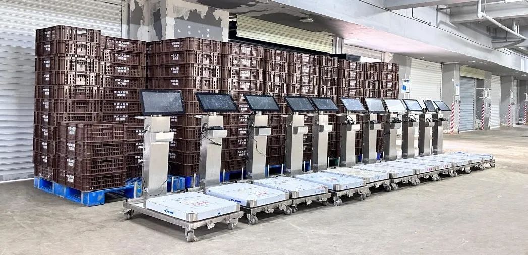 ������ʱ��(�й���)�������ǲ�!