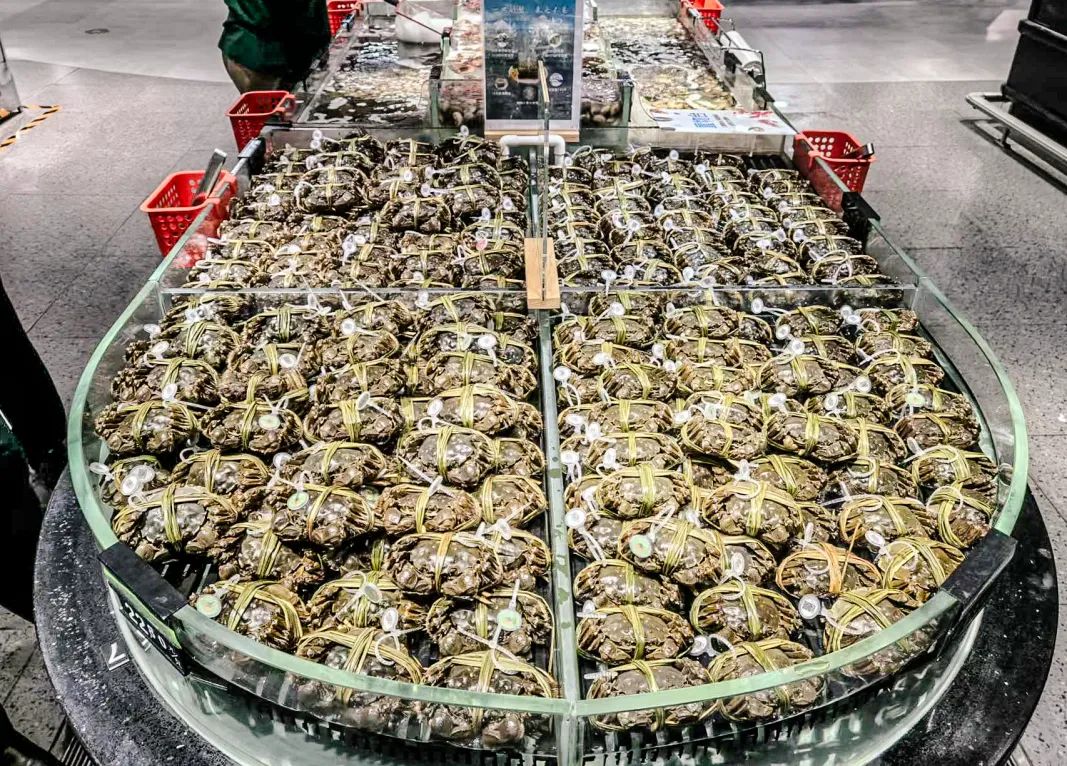 ������ʱ��(�й���)�������ǲ�!